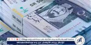 استقرار سعر الريال السعودي مقابل الجنيه المصري في 1 نوفمبر 2024 - أحداث اليوم