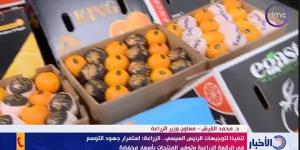 معاون وزير الزراعة: الصادرات من المحاصيل والمنتجات بلغت حوالي 9.2 مليار دولار - أحداث اليوم