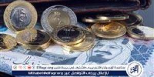 استقرار سعر الريال السعودي أمام الجنيه المصري في تعاملات اليوم: 5 نوفمبر 2024 - أحداث اليوم