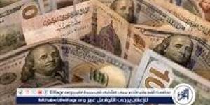 سعر الدولار مقابل الجنيه المصري اليوم الثلاثاء 5 نوفمبر 2024: استقرار ملحوظ مع استمرار الضغوط الاقتصادية - أحداث اليوم