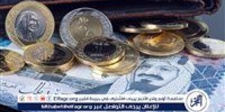 استقرار سعر الريال السعودي أمام الجنيه المصري في تعاملات اليوم: 5 نوفمبر 2024 - أحداث اليوم