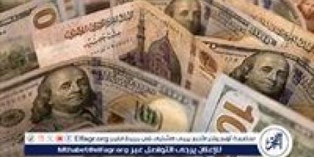 سعر الدولار مقابل الجنيه المصري اليوم الثلاثاء 5 نوفمبر 2024: استقرار ملحوظ مع استمرار الضغوط الاقتصادية - أحداث اليوم