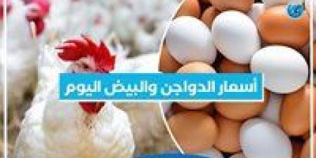 أسعار الدواجن والبيض اليوم الخميس 7-11-2024 بمحافظة البحيرة - أحداث اليوم