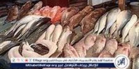 اسعار السمك اليوم الخميس 7-11-2024 في الدقهلية - أحداث اليوم