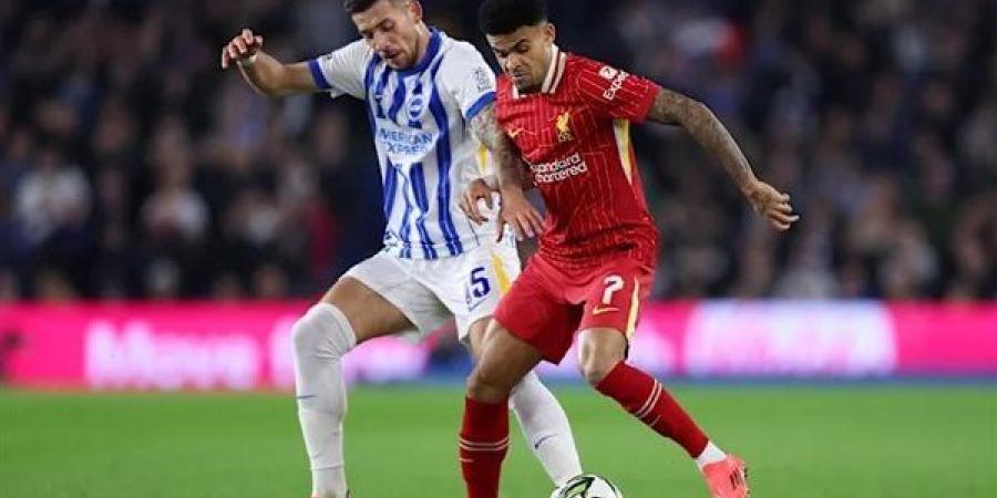 liverpool vs brighton.. مشاهدة مباراة ليفربول وبرايتون بث مباشر الآن - أحداث اليوم