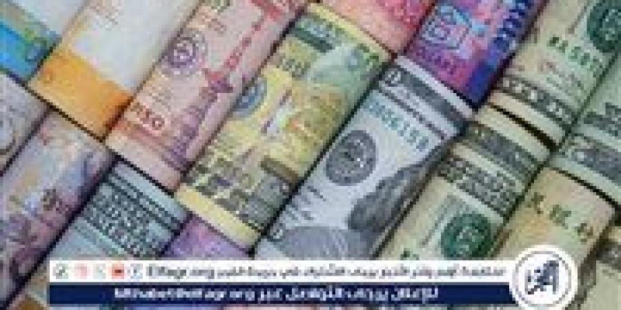 ارتفاع ملحوظ في أسعار صرف العملات الأجنبية مقابل الجنيه المصري اليوم - أحداث اليوم